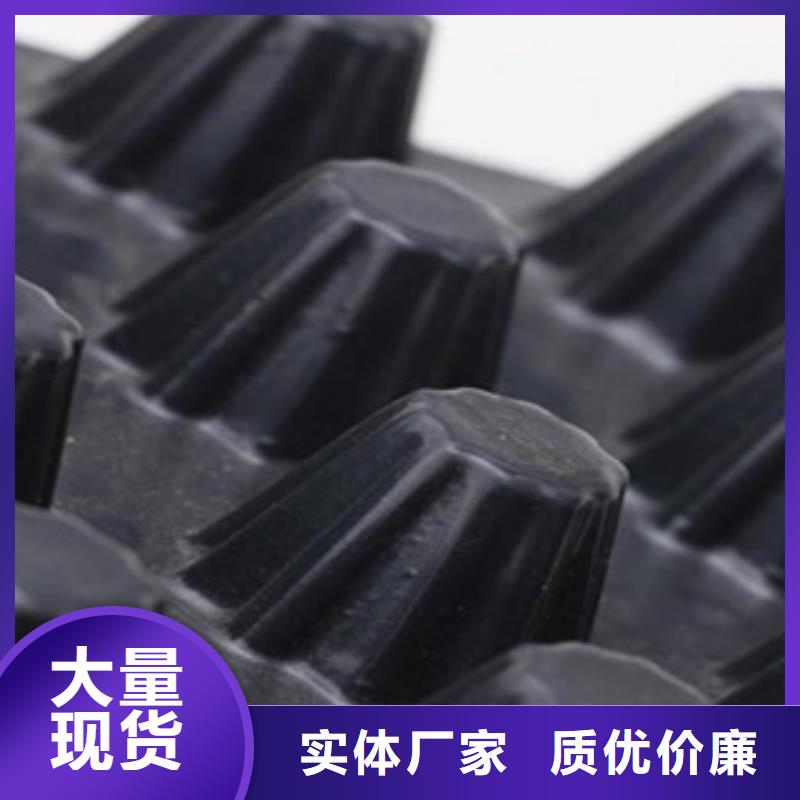 塑料排水板塑料土工格栅做工精细