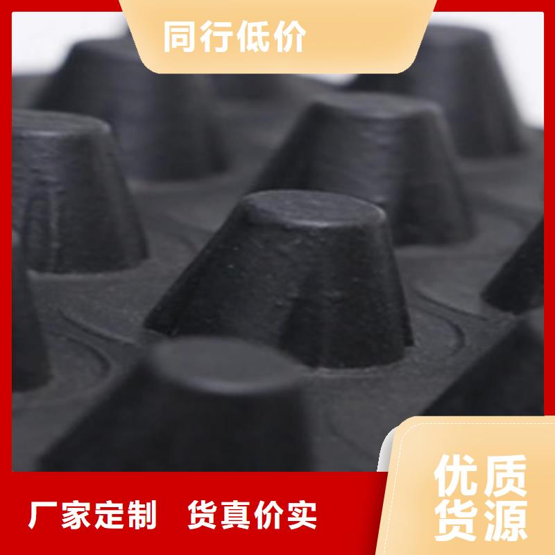 塑料排水板,三维植被网多种场景适用