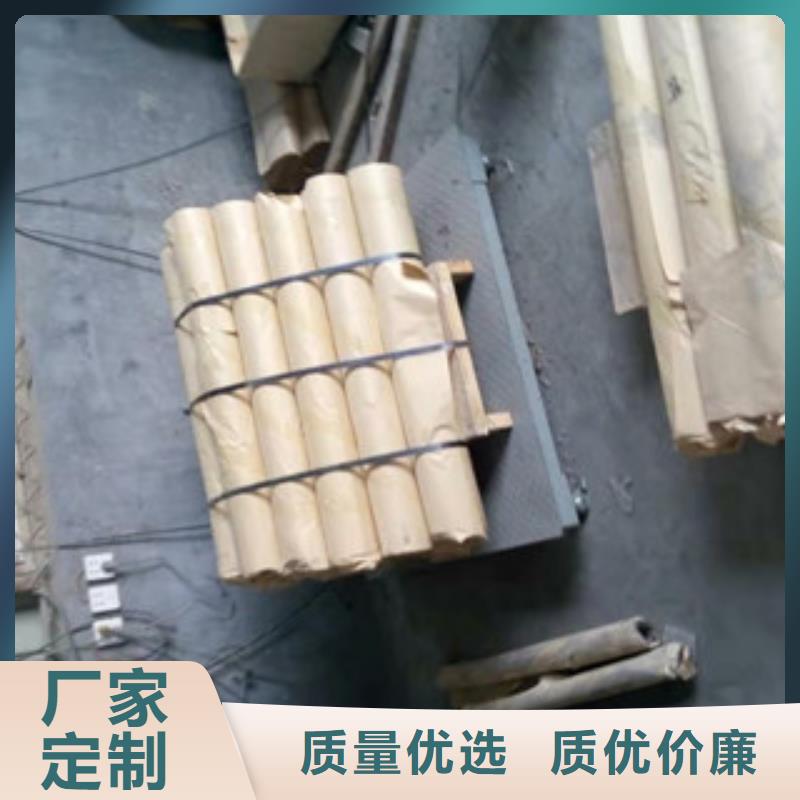 电动推拉防护门视频-电动推拉防护门-辰晟射线防护工程(南充市分公司)服务区域营山|高坪|攀枝花|泸州|宜宾|广安|眉山|阿坝|绵阳