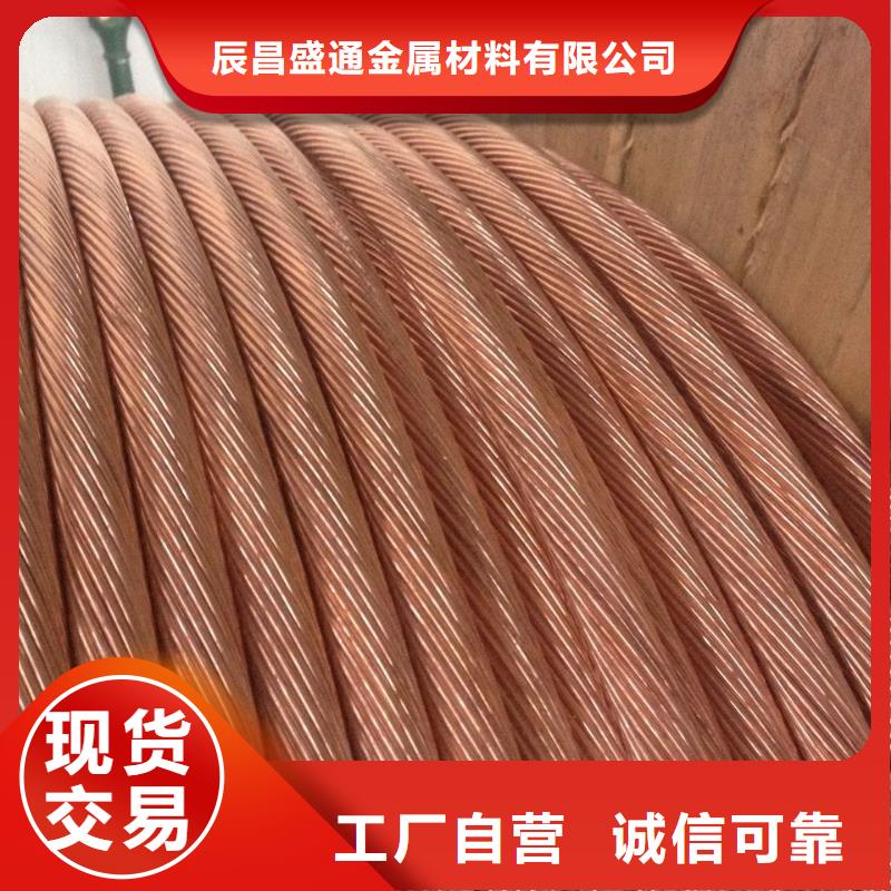 铜绞线紫铜排敢与同行比服务