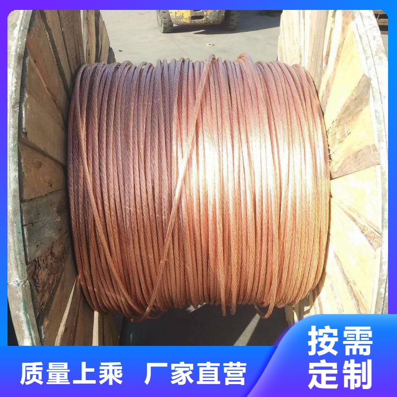 〖TJ-630平方镀锡铜绞线〗每米多少钱