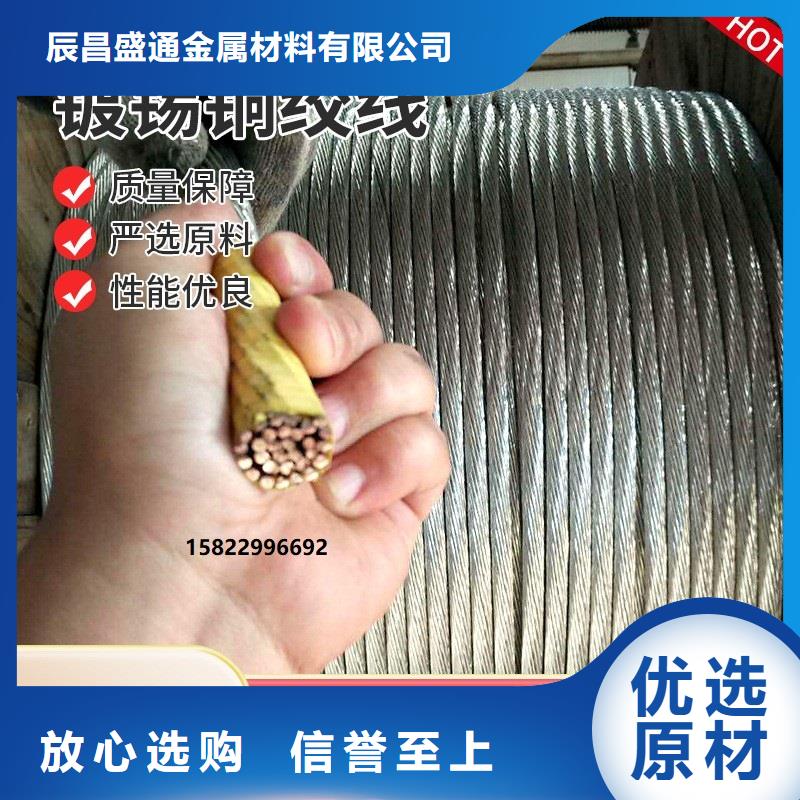 〖TJ-240平方镀锡铜绞线〗一米多少钱