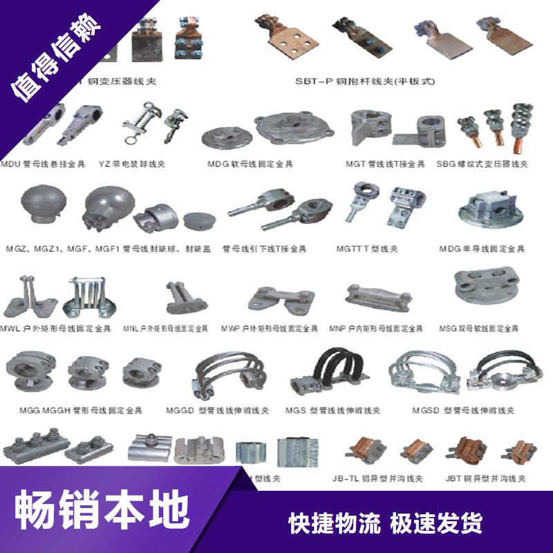 管母线镀锡铜绞线厂家