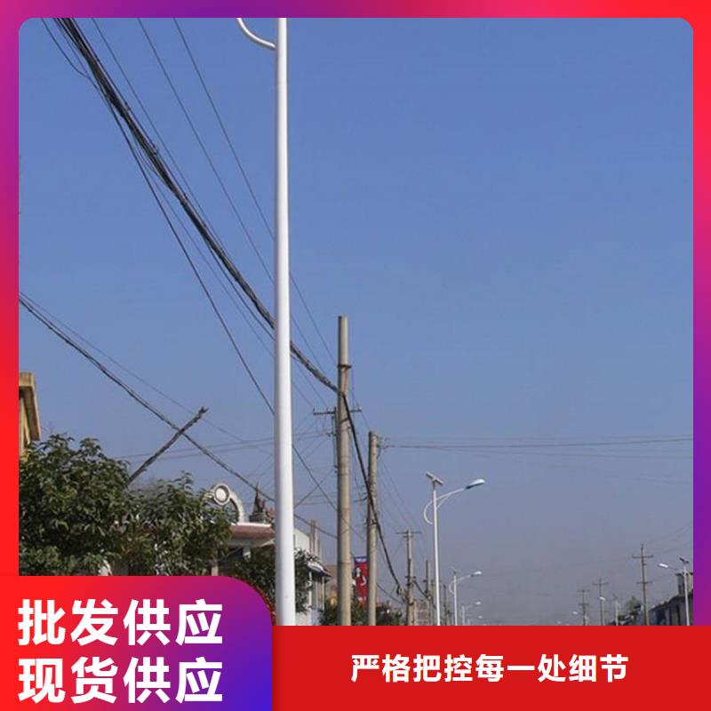 太阳能市电路灯厂家专业的生产厂家