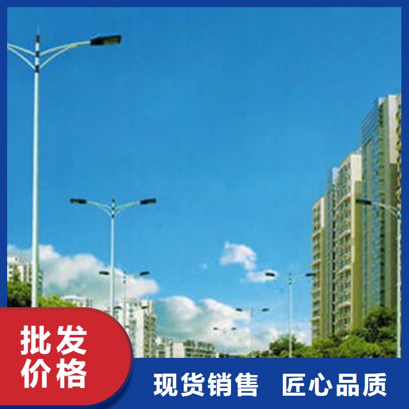 太阳能市电路灯生产厂家定制定做