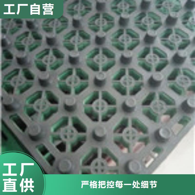 聚丙烯纤维视频-聚丙烯纤维(泰驰)覆盖地域山东省莱芜市钢城|莱城|德州|潍坊|泰安|枣庄