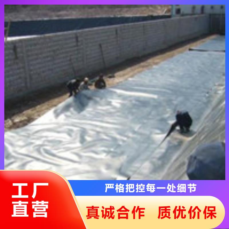 泰驰聚丙烯纤维【】土工席垫用心做好细节诚信商务网
