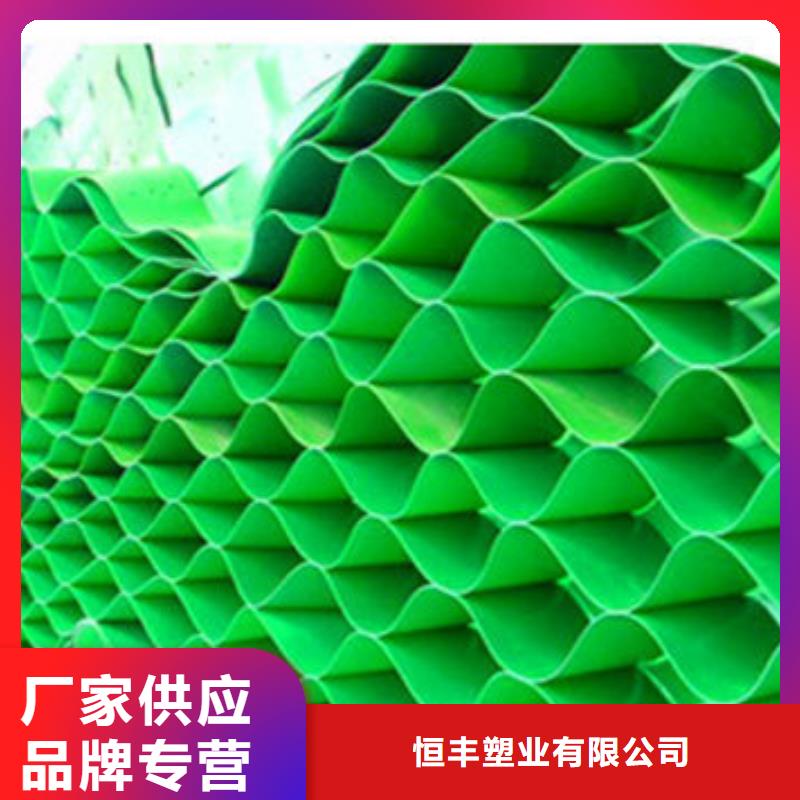 蜂巢格室 HDPE复合排水板设备齐全支持定制
