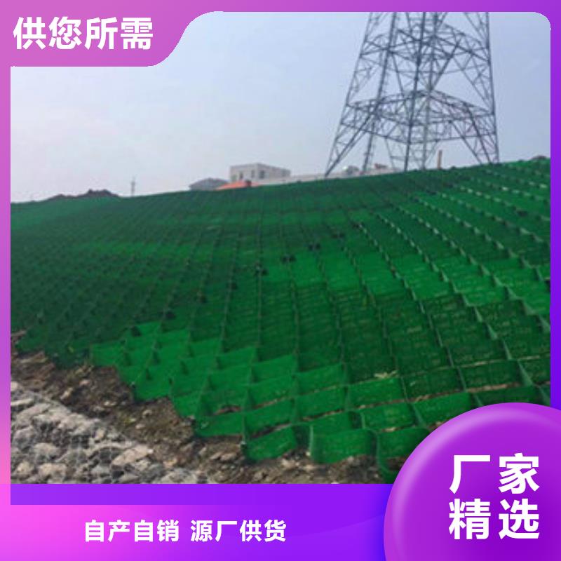 蜂巢格室塑料土工格栅多年行业积累