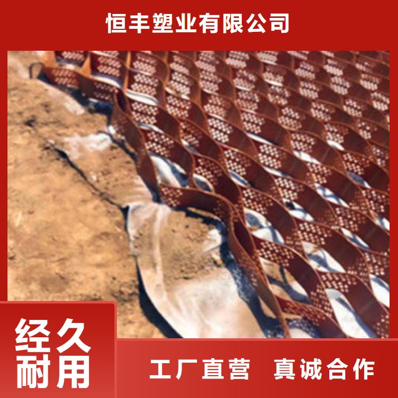 蜂巢格室钢塑土工格栅每个细节都严格把关