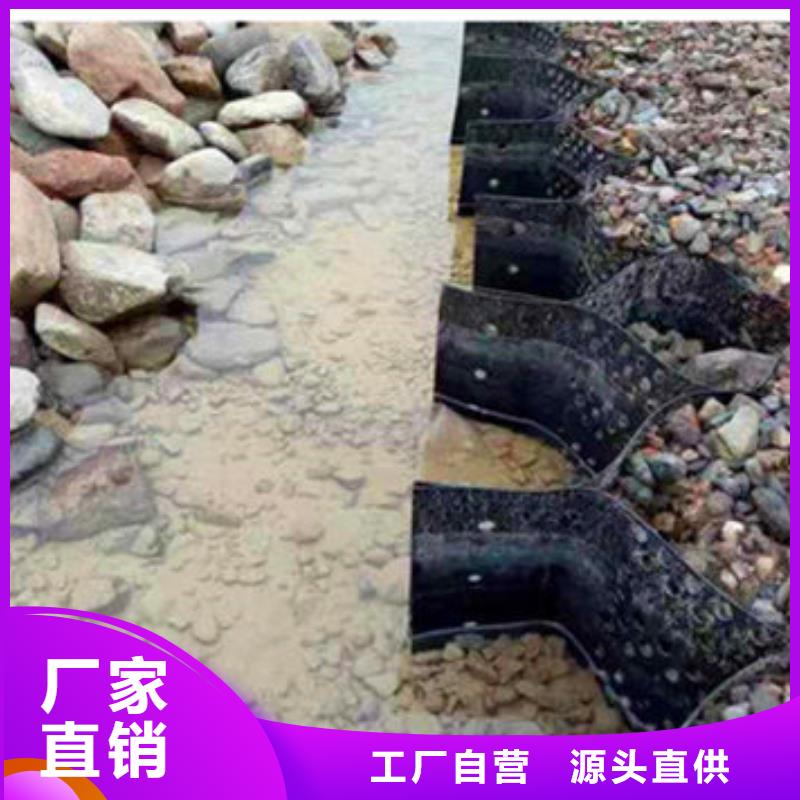 蜂巢格室_双向塑料土工格栅定制销售售后为一体