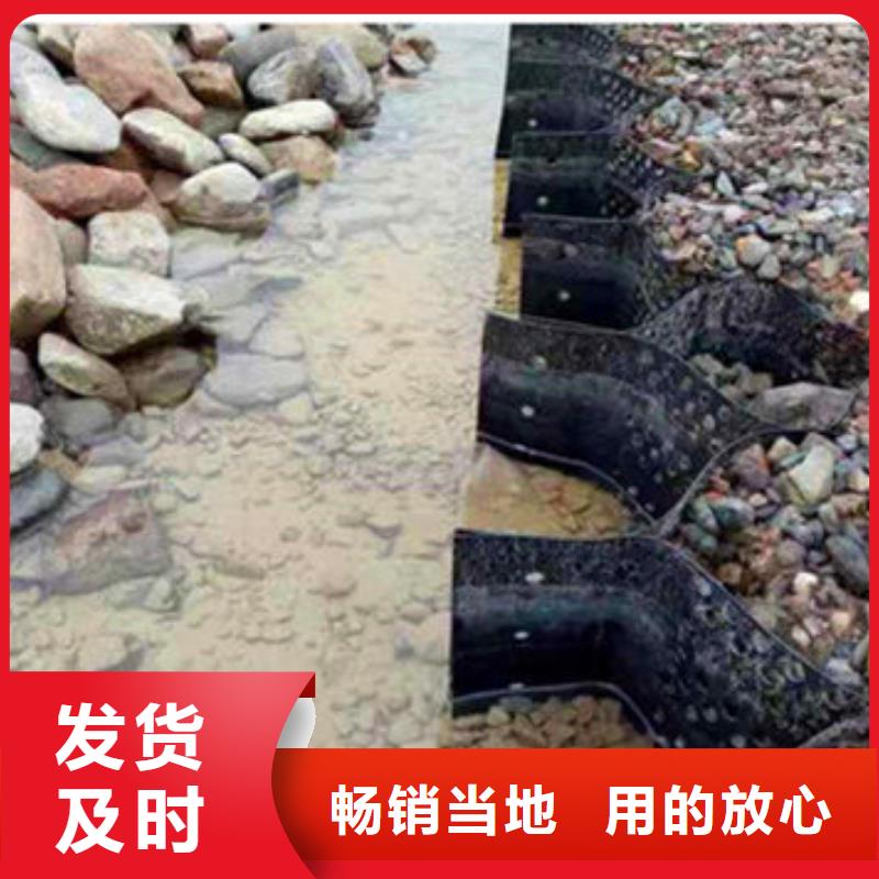 蜂巢格室类别区分法