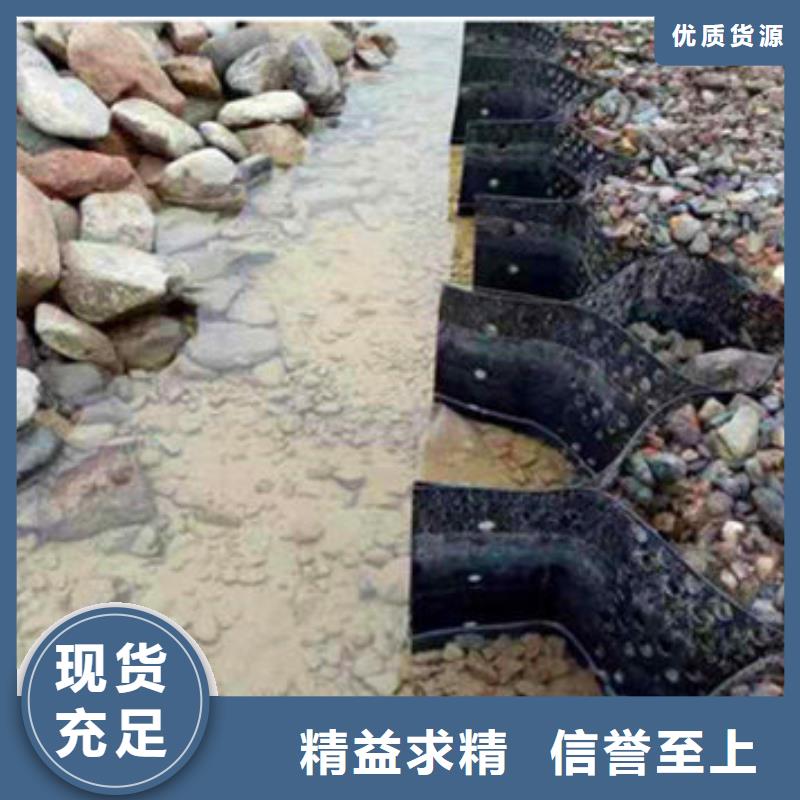 蜂巢格室-止水条服务始终如一