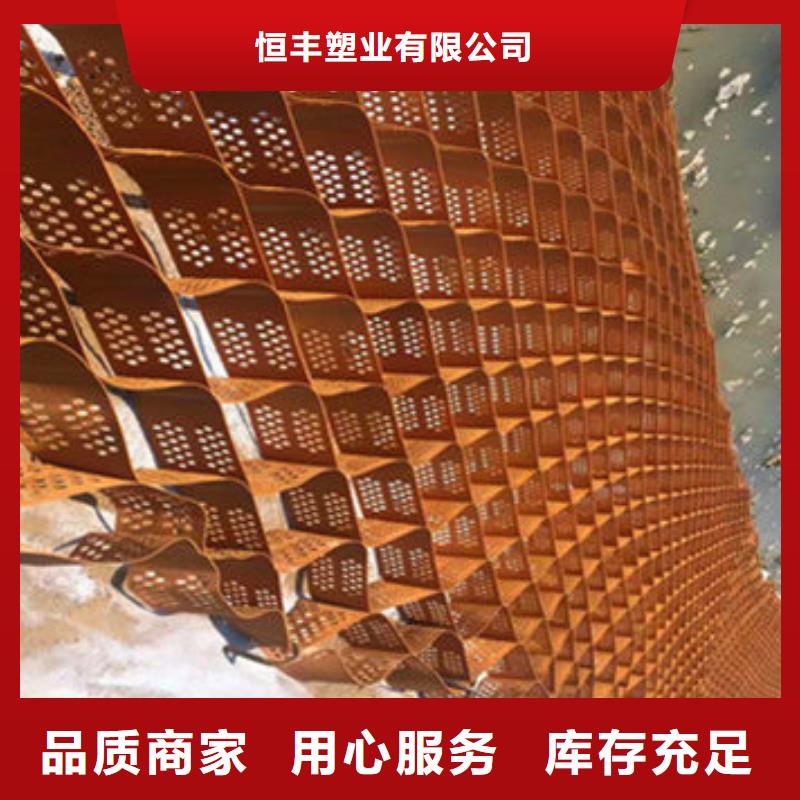 【蜂巢格室-土工网垫大厂家实力看得见】