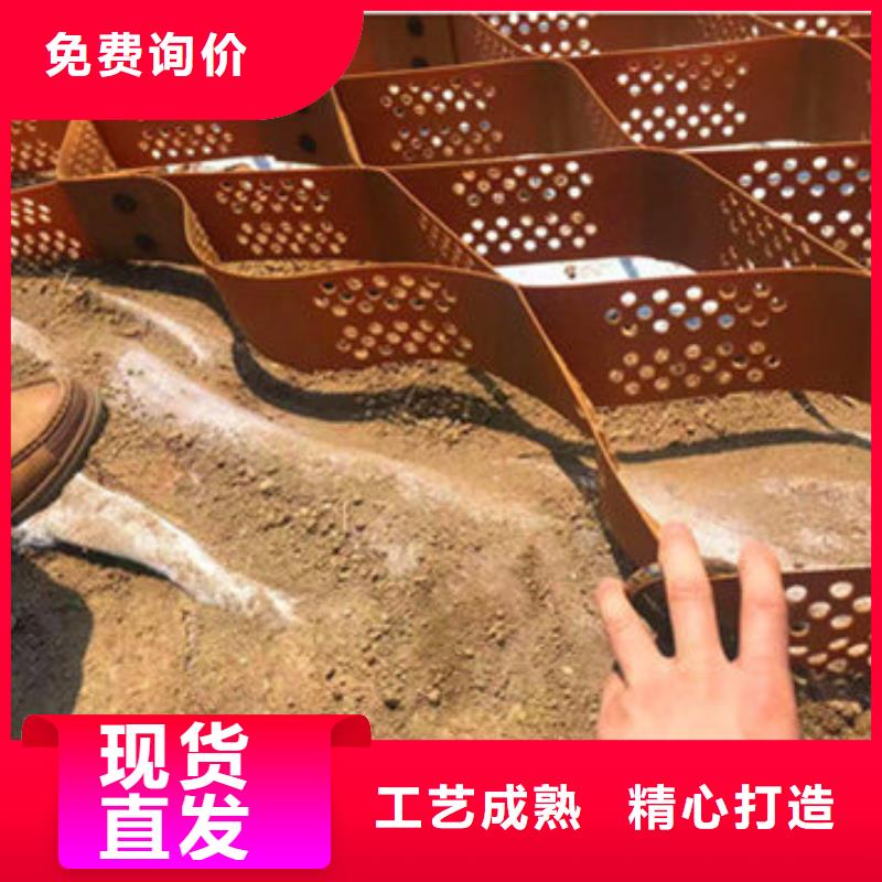 蜂巢格室_蜂格网价格地道