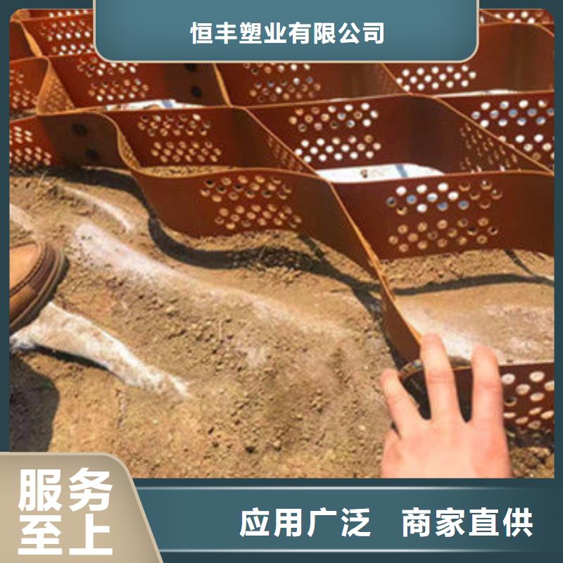 蜂巢格室-止水条服务始终如一
