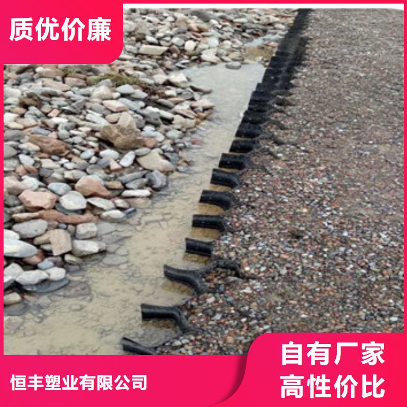 蜂巢格室,六边形格室厂家实力雄厚