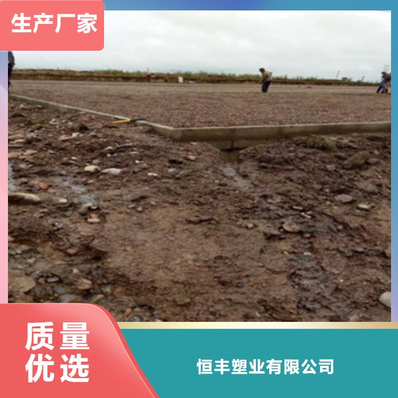 蜂巢格室蜂格网极速发货