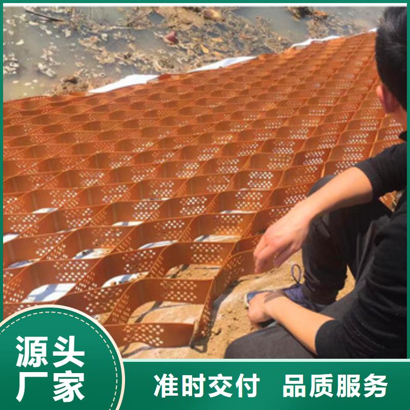 蜂巢格室蜂格网极速发货