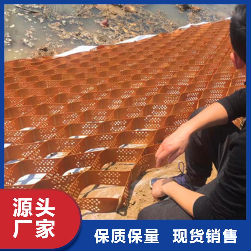 蜂巢格室-双向土工格栅货真价实
