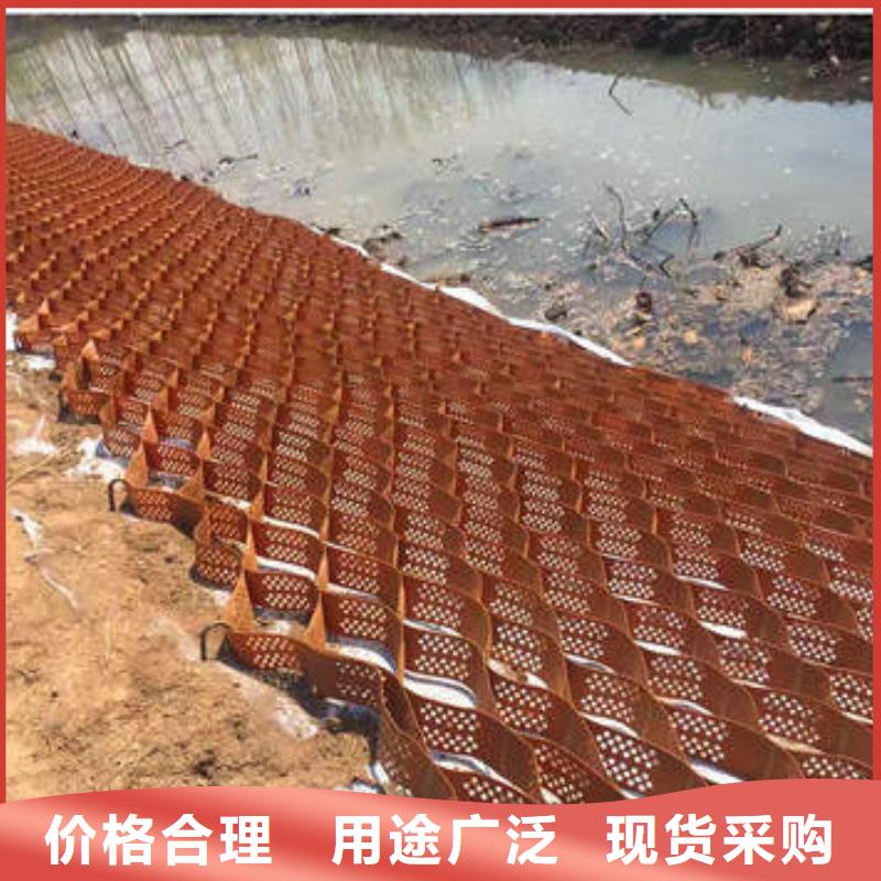 蜂巢格室玻璃纤维土工格栅库存丰富