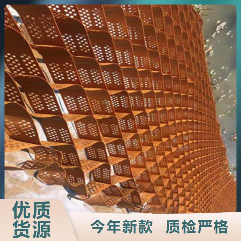 蜂巢格室排水板源厂直接供货