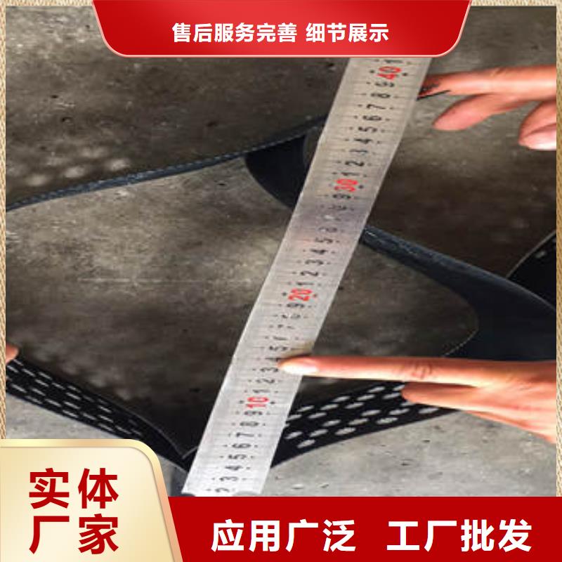 土工格网简介