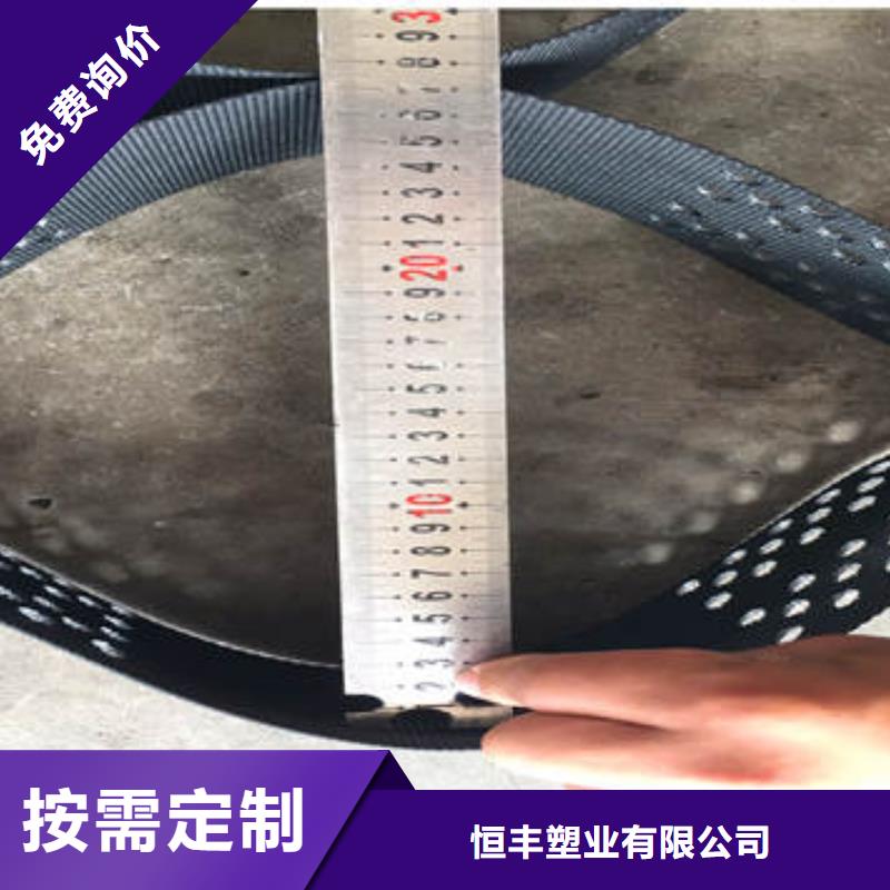 【蜂巢格室-土工网垫大厂家实力看得见】