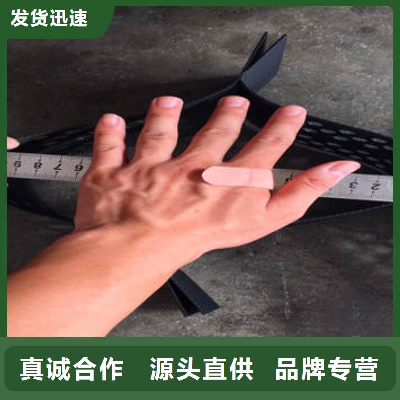 儋州市土工格室施工图片购买