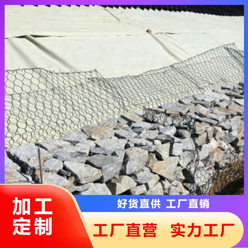 蜂巢格室止水条服务周到