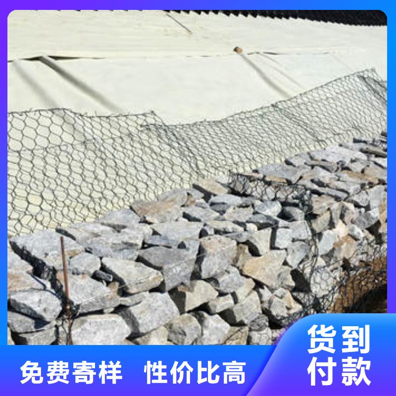 蜂巢格室六边形格室大品牌值得信赖