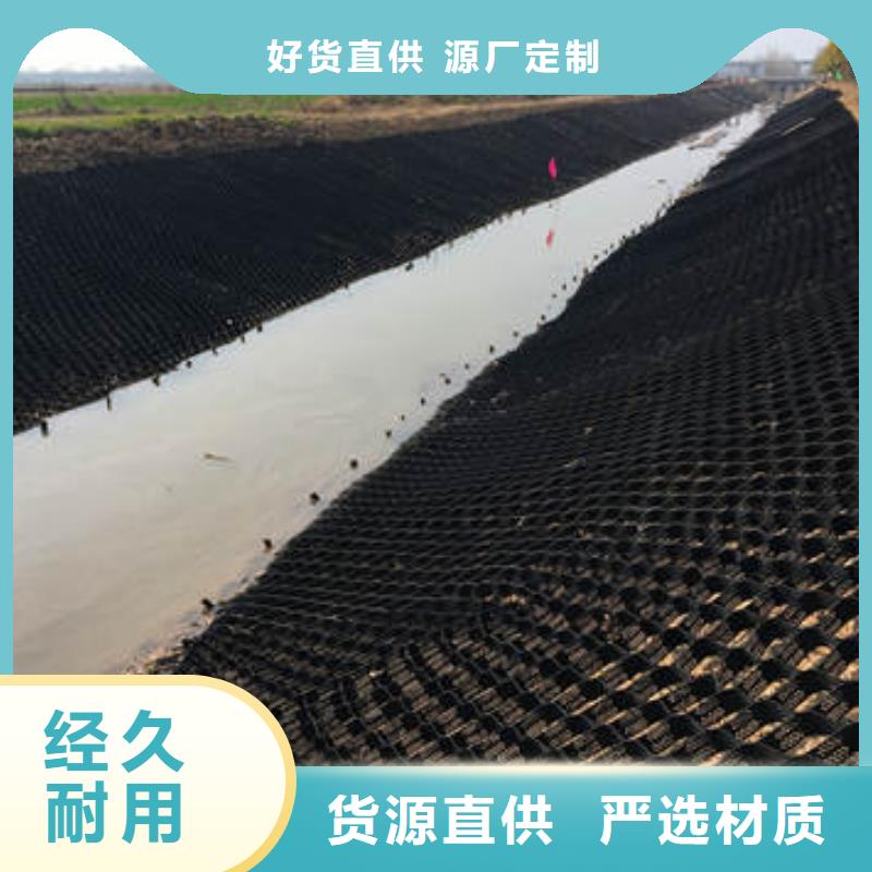 蜂巢格室土工格室专业生产团队