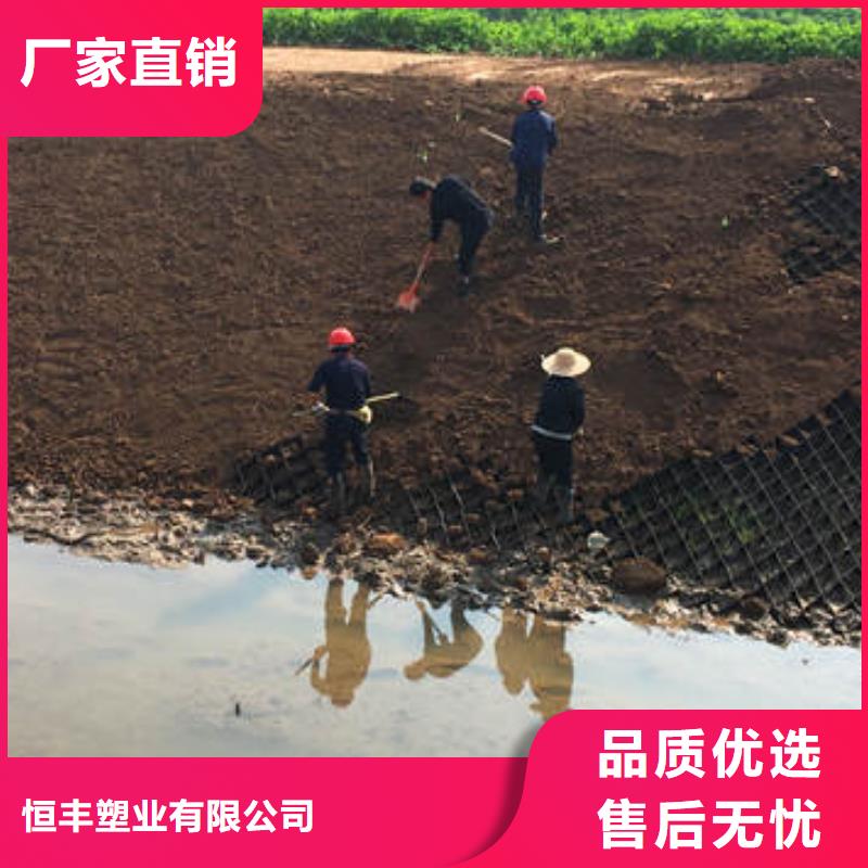【蜂巢格室】-土工布高质量高信誉