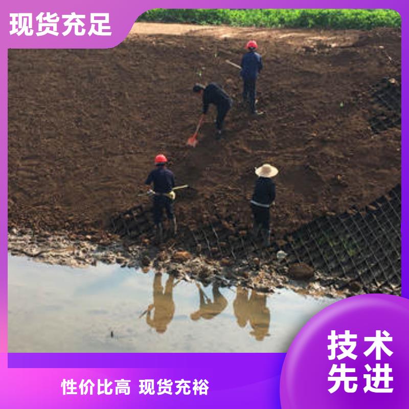 蜂巢格室土工网垫专心专注专业