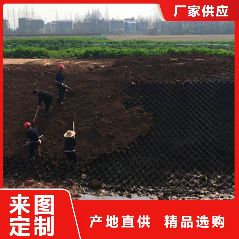 蜂巢格室 土工布源厂直销