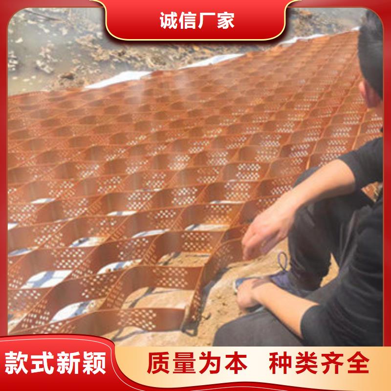 蜂巢格室土工格室工厂现货供应