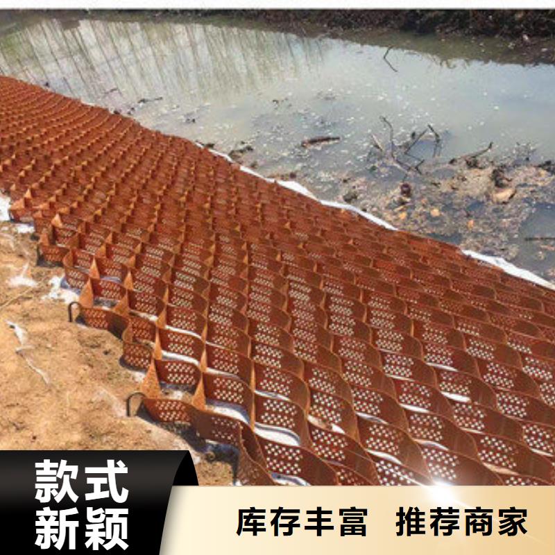 蜂巢格室_蜂格网价格地道