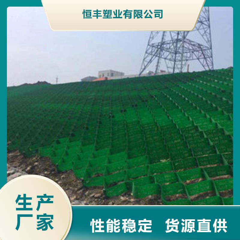 蜂巢格室土工网垫专心专注专业