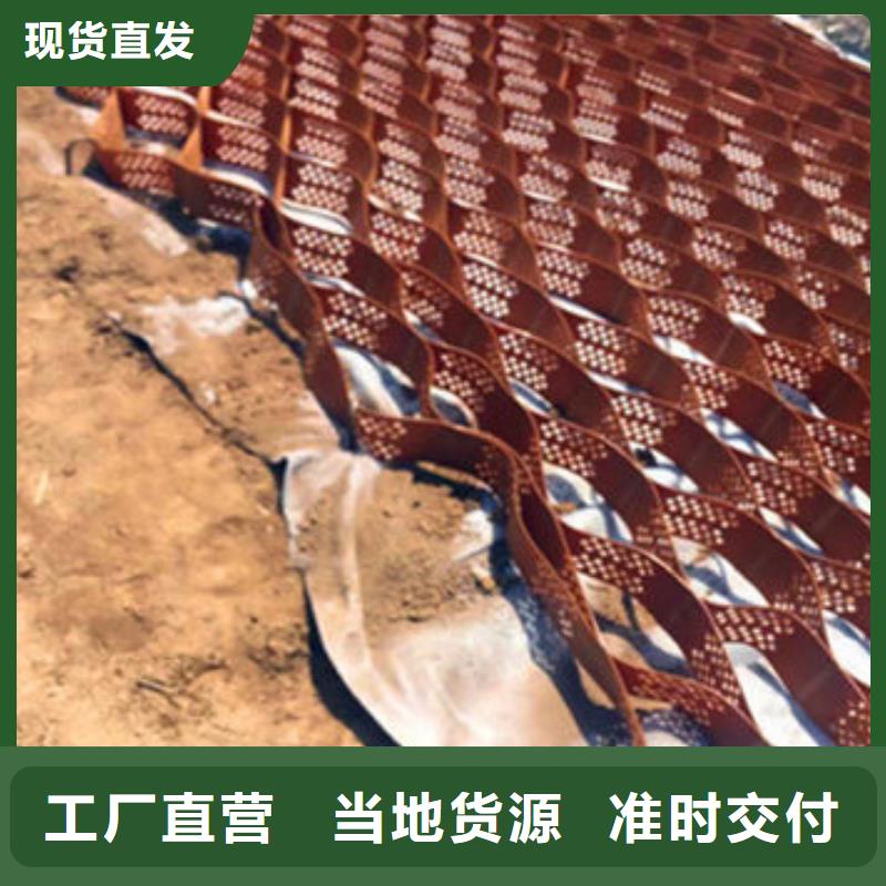 蜂巢格室_塑料盲沟源头厂家来图定制