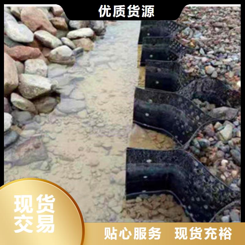 蜂巢格室塑料土工格室品质优选