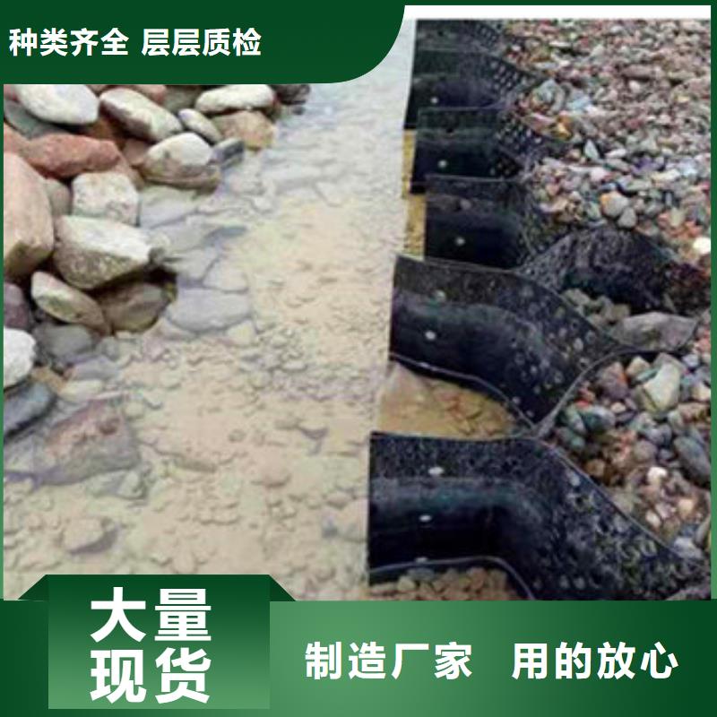 蜂巢格室_蜂格网客户满意度高