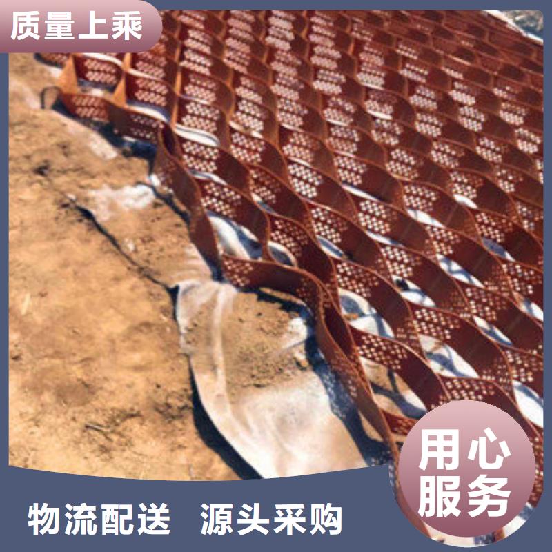 蜂巢格室塑料盲沟自有厂家