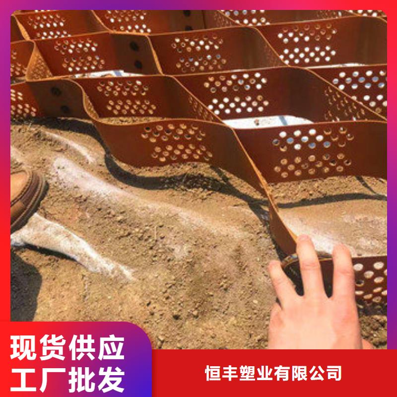 蜂巢格室玻璃纤维土工格栅库存丰富