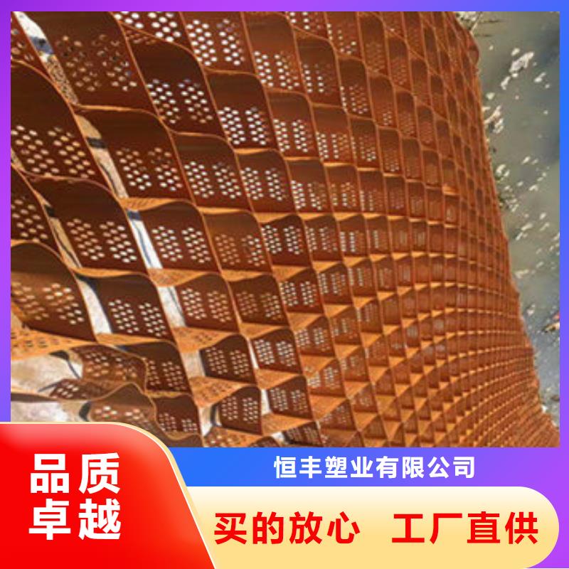 蜂巢格室双向土工格栅自有生产工厂