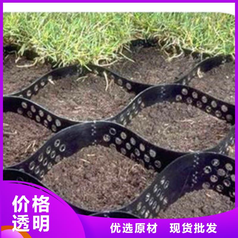 蜂巢格室塑料土工格栅工厂现货供应