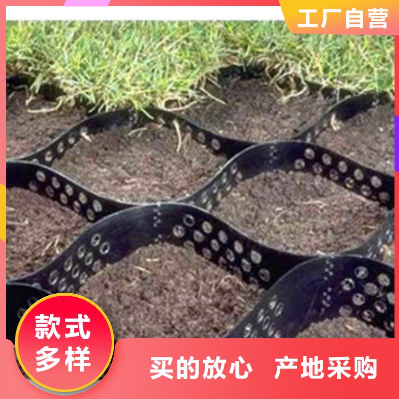 蜂巢格室_玻纤格栅多年实力厂家