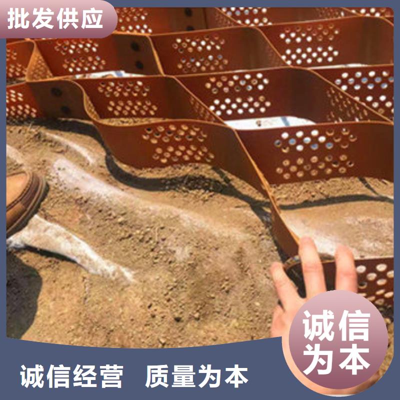 蜂巢格室-植草格用心做好细节