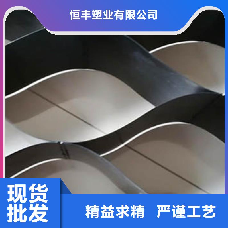 蜂巢格室_双向塑料土工格栅定制销售售后为一体