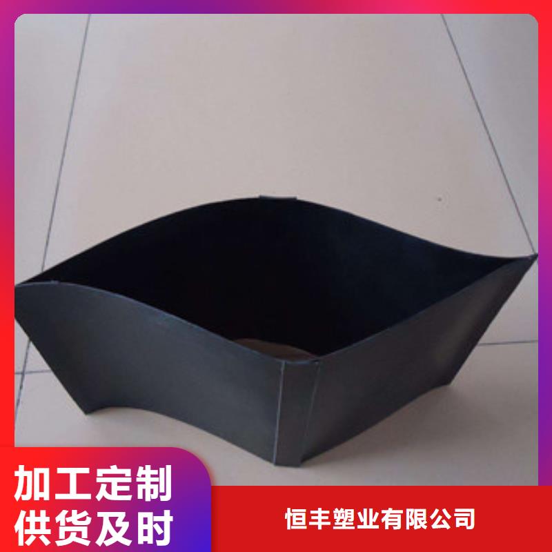 【蜂巢格室-土工网垫大厂家实力看得见】