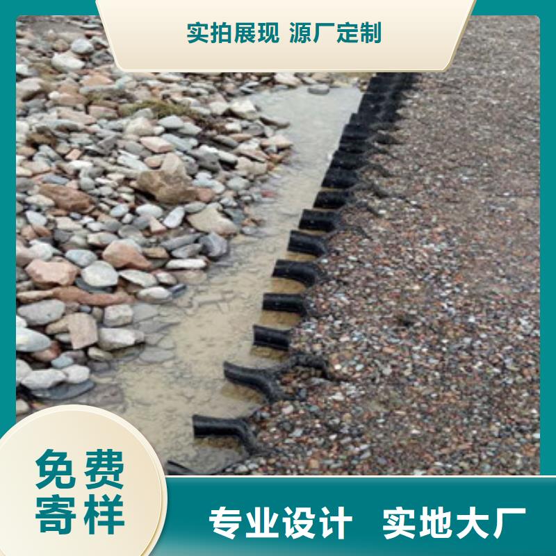 蜂巢格室土工格室有实力有经验